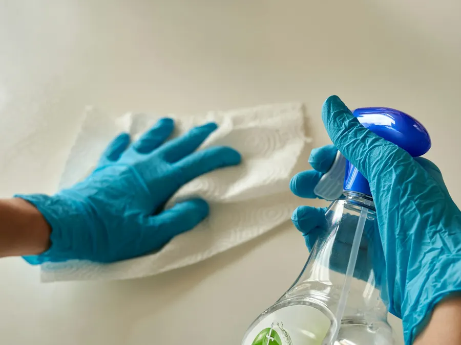 Regular Cleaning vs. Deep Cleaning: Which One Do You Need?